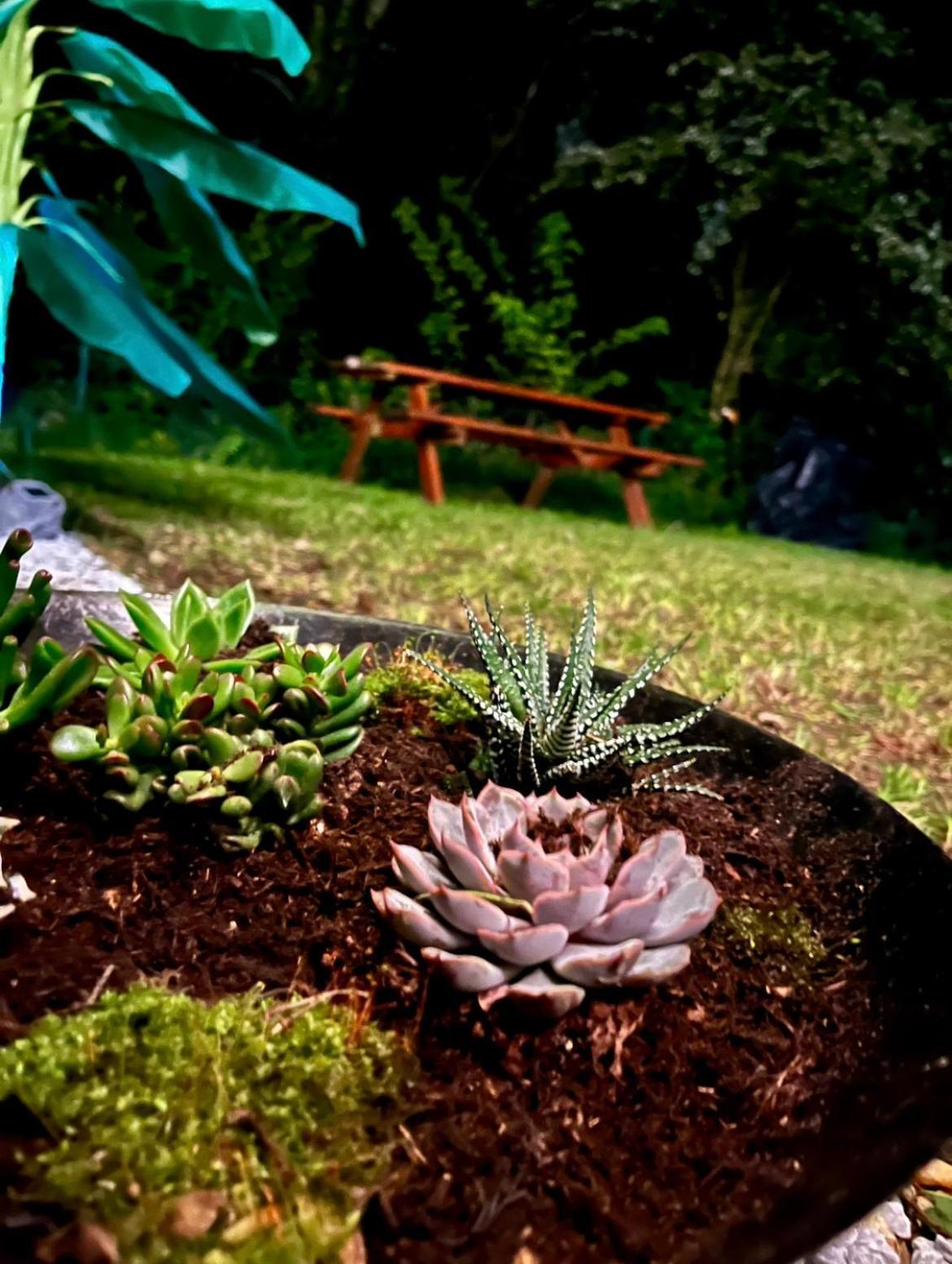 Campingplatz Tiki House M-home-climatise - Belle Parcelle ! *